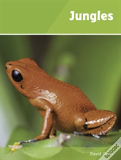 Capa do artigo Jungles