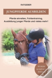 Jungpferde Ausbilden
