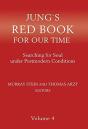 Jung'S Red Book For Our Time: Searching - Preview