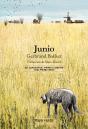Junio - Preview