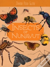 Capa do artigo Junior Field Guide: Insects Of Nunavut