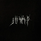 Capa do artigo Junip - Vinil