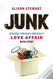 Capa do artigo Junk