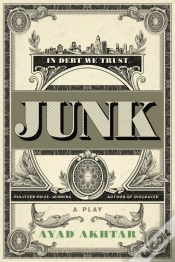 Capa do artigo Junk