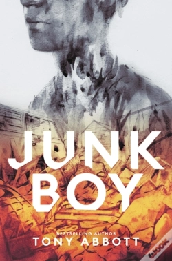 Capa do artigo Junk Boy