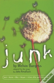 Capa do artigo Junk