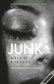 Capa do artigo Junk