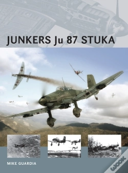 Capa do artigo Junkers Ju 87 Stuka