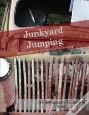 Capa do artigo Junkyard Jumping