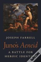 Juno'S Aeneid