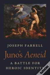 Juno'S Aeneid