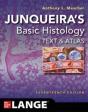 Junqueira'S Basic Histology: Text And Atlas, Seventeenth Edition - Preview