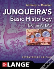 Capa do artigo Junqueira