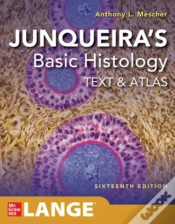Capa do artigo Junqueira
