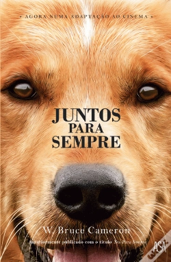 Capa do artigo Juntos para Sempre