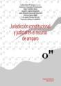 Jurisdicción Constitucional Y Judicial En El Recurso De Amparo - Preview