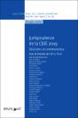 Jurisprudence De La Cjue 2019 ; Décisions Et Commentaires - Preview