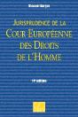 Jurisprudence De La Cour Européenne Des Droits De L'Homme (11e Édition) - Preview