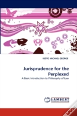 Capa do artigo Jurisprudence For The Perplexed
