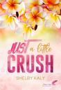 Just A Little Crush - Preview