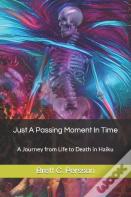 Just A Passing Moment In Time
