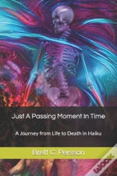 Just A Passing Moment In Time