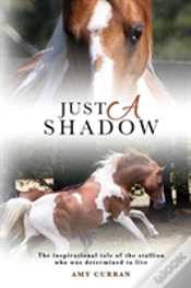 Capa do artigo Just A Shadow