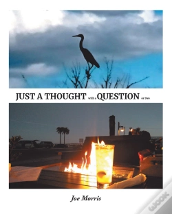 Capa do artigo Just A Thought With A Question Or Two