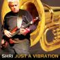 Just a Vibration - CD - Preview