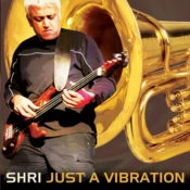 Capa do artigo Just a Vibration - CD