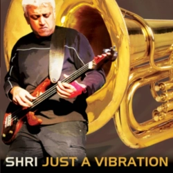 Capa do artigo Just a Vibration - CD