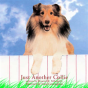 Just Another Collie - Preview