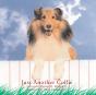 Just Another Collie - Preview