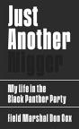 Just Another Nigger - Preview