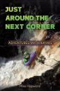 Just Around The Next Corner - Preview