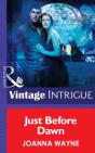 Just Before Dawn - Preview