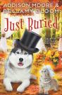 Just Buried - Preview