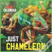 Capa do artigo Just Chameleon Calendar 2022