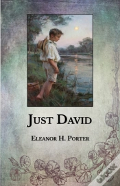 Capa do artigo Just David