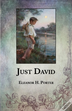 Capa do artigo Just David