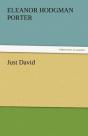 Just David - Preview