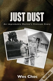 Capa do artigo Just Dust