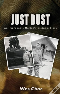 Capa do artigo Just Dust