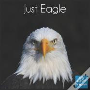 Just Eagle 2022 Calendar