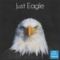 Just Eagle 2022 Calendar - Preview