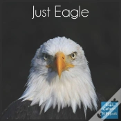 Capa do artigo Just Eagle 2022 Calendar
