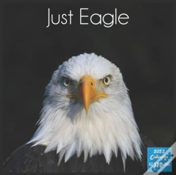 Capa do artigo Just Eagle 2022 Calendar
