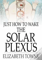 Capa do artigo Just How To Wake The Solar Plexus