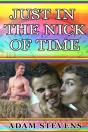 Just In The Nick Of Time - Preview