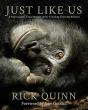 Just Like Us - Preview